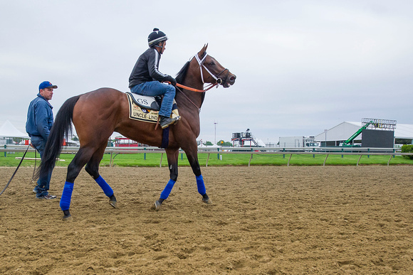Preakness contender Uncle Lino, trained by Gary Sherlock, gallops at Pimlico Race Course in Baltimore, Maryland.