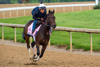Lewis Bay, trained by Chad Brown, gallops in preparation for the Kentucky Oaks at Churchill Downs in Louisville, Kentucky.