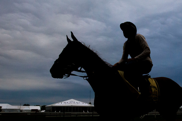 Preakness contender Fellowship, trained by Mark Casse, returns from morning exercise at Pimlico Race Course in Baltimore, Maryland.