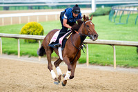 Land Over Sea, trained by Doug O'Neill, gallops in preparation for the Kentucky Oaks at Churchill Downs in Louisville, Kentucky.