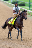 Exaggerator, trained by Keith Desormeaux, gallops in preparation for the Kentucky Derby in Louisville, Kentucky.