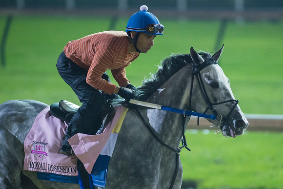 Kentucky Oaks contender Royal Obsession, trained by Steve Asmussen, gallops at Churchill Downs in Louisville, Kentucky.