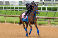 Kentucky Oaks contender Cathryn Sophia, trained by John Servis, gallops during morning exercise at Churchill Downs in Louisville, Kentucky.