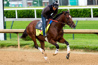 Kentucky Derby contender Brody's Cause, trained by Dale Romans, gallops during morning exercise at Churchill Downs in Louisville, Kentucky.