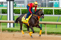 Danzing Candy, trained by Cliff Sise, gallops in preparation for the Kentucky Derby at Churchill Downs in Louisville, Kentucky.
