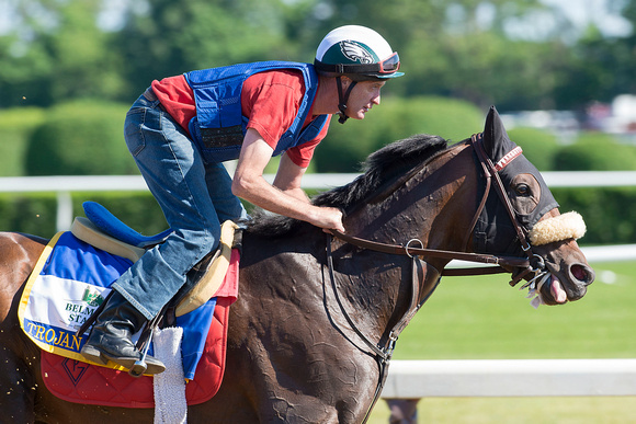 Belmont Stakes contender Trojan Nation, trained by Patrick Gallagher,  gallops in preparation for the Belmont Stakes at Belmont Park in Elmont, New York.