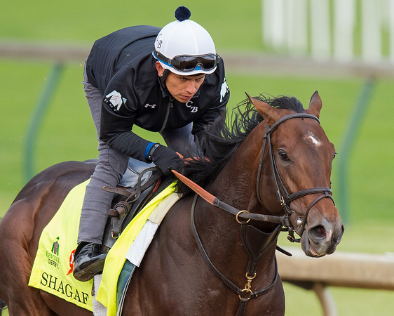Shagaf, trained by chad Brown, gallops in preparation for the Kentucky Derby at Churchill Downs in Louisville, Kentucky.