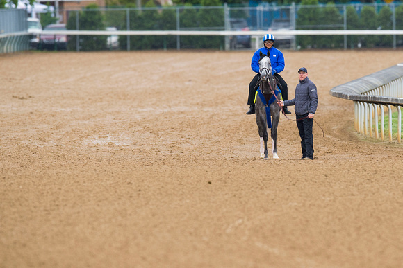 Assistant Trainer Neil McLaughlin holds on to Mohaymen, trained by Kiaran McLaughlin, before he galloped in preparation for the Kentucky Derby at Churchill Downs in Louisville, Kentucky.