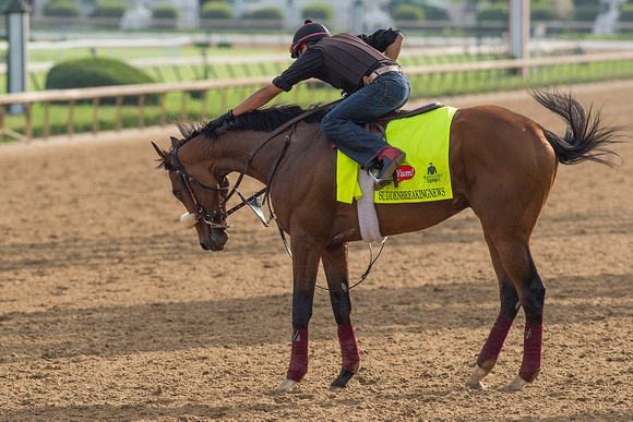 Suddenbreakingnews, trained by Donnie Von Hemel, is soothed after galloping in preparation for the Kentucky Derby at Churchill Downs in Louisville, Kentucky.