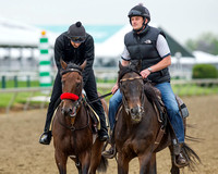 Nyquist, trained by Doug O'Neill, jogs with "Coach" Satire at Pimlico Race Course in Baltimore, Maryland.