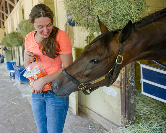 Gallorette Stakes (GIII) winner Watsdachances, trained by Chad Brown, tries to nab some carrots from Assistant Trainer Cherie DeVaux at Belmont Park in Elmont, New York.