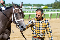 Bode's Dream, ridden by John Velazquez, and trained by Todd Pletcher, is escorted into the winner's circle by his groom at Belmont Park, in Elmont, New York.