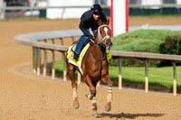 Oscar Nominated, trained by Mike Maker, gallops in preparation for the Kentucky Derby at Churchill Downs in Louisville, Kentucky.