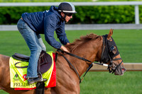 Fellowship, trained by Mark Casse, gallops in preparation for the Kentucky Derby at Churchill Downs in Louisville, Kentucky.