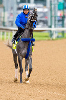 Mohaymen, trained by Kiaran McLaughlin, gallops in preparation for the Kentucky Derby at Churchill Downs in Louisville, Kentucky.