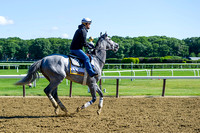 Belmont Stakes contender Cherry Wine, trained by Dale Romans, gallops in preparation for the Belmont Stakes at Belmont Park in Elmont, New York.