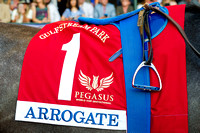 2017 Pegasus World Cup Invitational winner Arrogate's saddle cloth in the Gulfstream Park paddock.