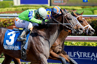 Imperative (outside) battles Stanford (inside) to the finish of the 2017 Poseidon Stakes on Pegasus World Cup Invitational day at Gulfstream Park.