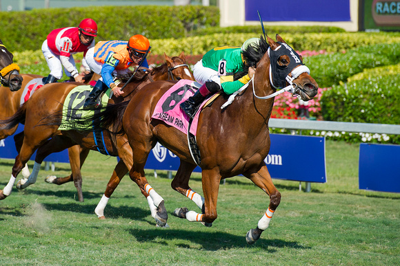 Pretty Perfection and Nik Juarez win the 2017 Ladies Turf Sprint on the Pegasus World Cup Invitational card at Gulfstream Park in Hallandale, Florida.