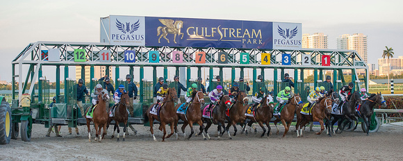 The start of the 2017 Pegasus World Cup Invitational race at Gulfstream Park in Hallandale Beach, Florida.