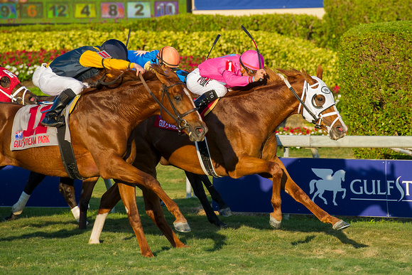 Taghleeb and jockey Tyler Gaffalione win the 2017 Grade III W. L. McKnight Stakes on Pegasus World Cup Invitational day at Gulfstream Park in Hallandale Beach, Florida.
