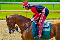 Early Kentucky Derby 140 favorite California Chrome during morning exercise.