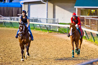 Early Kentucky Derby 140 favorite California Chrome jogs the wrong way around the track.