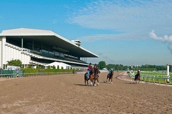 Horses working out at Belmont Park