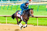 Got Lucky galloped 1 & 3/8's miles in preparation for the 140th Kentucky Oaks.