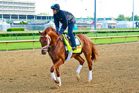 Danza galloped 1 & 3/8's miles in prpearation for the 140th Kentucky Derby.