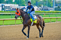 General A Rod heads out to gallop 1 & 1/2 miles in preparation for the 140th Kentucky Derby.