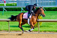 Empress Of Midway galloped 1 & 1/2 miles in preparation for the 140th Kentucky Oaks.