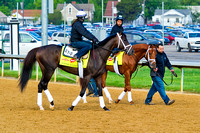 Intense Holiday and Danza head out for exercise in preparation for the 140th Kentucky Derby.
