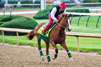 California Chrome gallops 1 & 1/2 miles at Churchill Downs in preparation for the 140th Kentucky Derby.