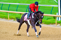 Kiss Moon galloped a mile in preparation for the 140th Kentucky Oaks at Churchill Downs in Louisville, Kentucky.