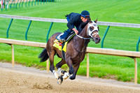 General A Rod, with Joel Rosario up, worked a half mile in preparation for the 140th Kentucky Derby.