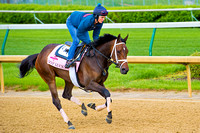 Got Lucky galloped one and a half miles in preparation for the 140th Kentucky Oaks at Churchill Downs in Louisville, Kentucky.