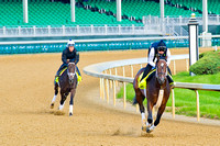 Commanding Curve leads the way ahead of rival Intense Holiday in preparation for the 140th Kentucky Derby.