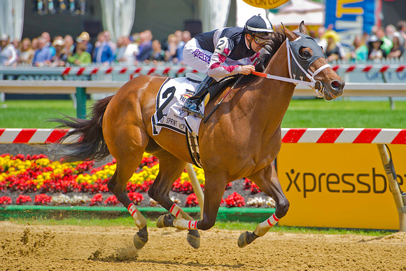 Happy My Way, Joe Bravo up, wins the Maryland Sprint Handicap Stake at Pimlico Race Course in Baltimore, Maryland.