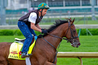 Samraat gallops 1 & 3/8's miles in preparation for the 140th Kentucky Derby at Churchill Downs in Louisville, Kentucky.