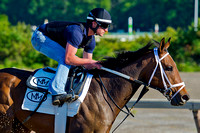 Belmont Stakes contender General A Rod prepares on the training track at Belmont Park in New York.
