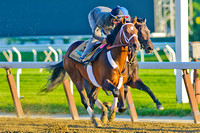 Commanding Curve breezed 4 furlongs over the Belmont Park main track in preparation for the 146th Belmont Stakes.