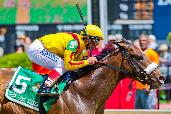 Meadowood, Javier Castellano up, wins the Chick Lang Stakes at Pimlico Race Course in Baltimore, Maryland.