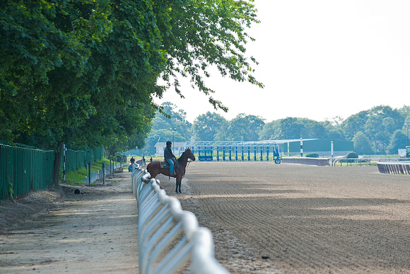 Horses working out at Belmont Park