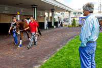 Trainer Steve Asmussen observes Kentucky Oaks 140 contender Untapable as she walks around the paddock during a scholling session.