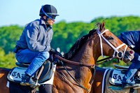 Matterhorn prepares for the 146th Belmont Stakes on the Belmont Park training track.