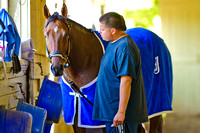 Belmont Stakes 146 contender Wicked Strong walks shedrow with his groom Francisco Ugarte at Belmont Park in New York.
