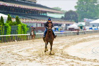 Scenes from morning workouts at Belmont Park in New York.