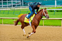 Danza galloped 1 & 3/8 miles in preparation for the 140th Kentucky Derby at Churchill Downs in Louisville, Kentucky.