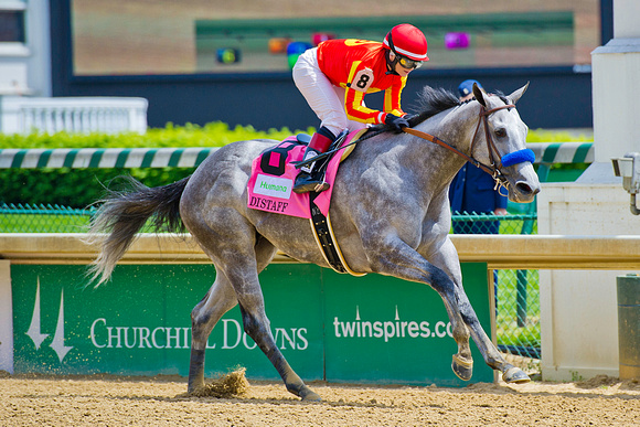 Midnight Lucky, Rosie Napravnik up, wins the Humana Distaff at Churchill Downs.